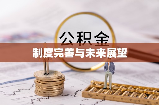 华县制度完善与未来展望